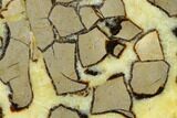 Polished, Heart-Shaped Septarian Dish - Madagascar #174411-2